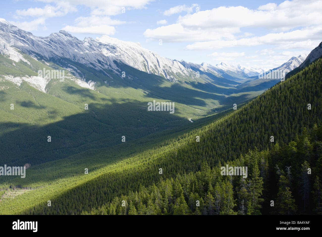 Montagnes couvertes de neige -à l'Alberta, Canada Banque D'Images