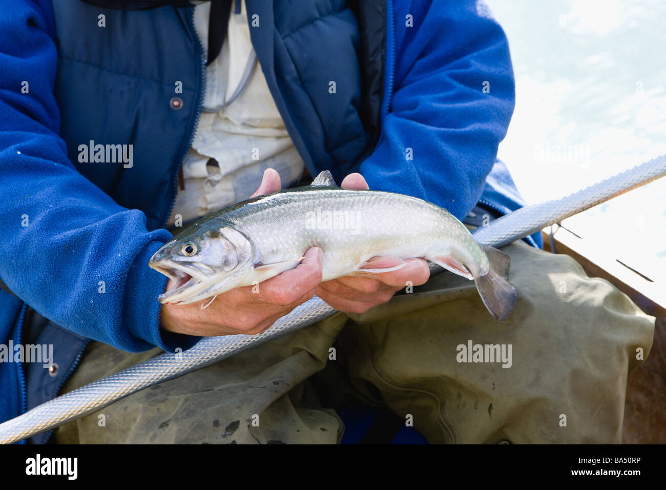 L'homme tenant un poisson dans la main Banque D'Images