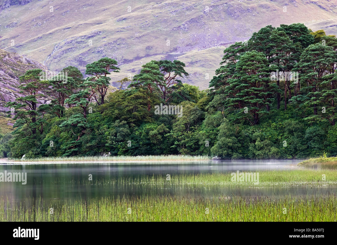 Lac de pêche dans le comté de Galway Irlande entouré par les montagnes de Mweelera Banque D'Images