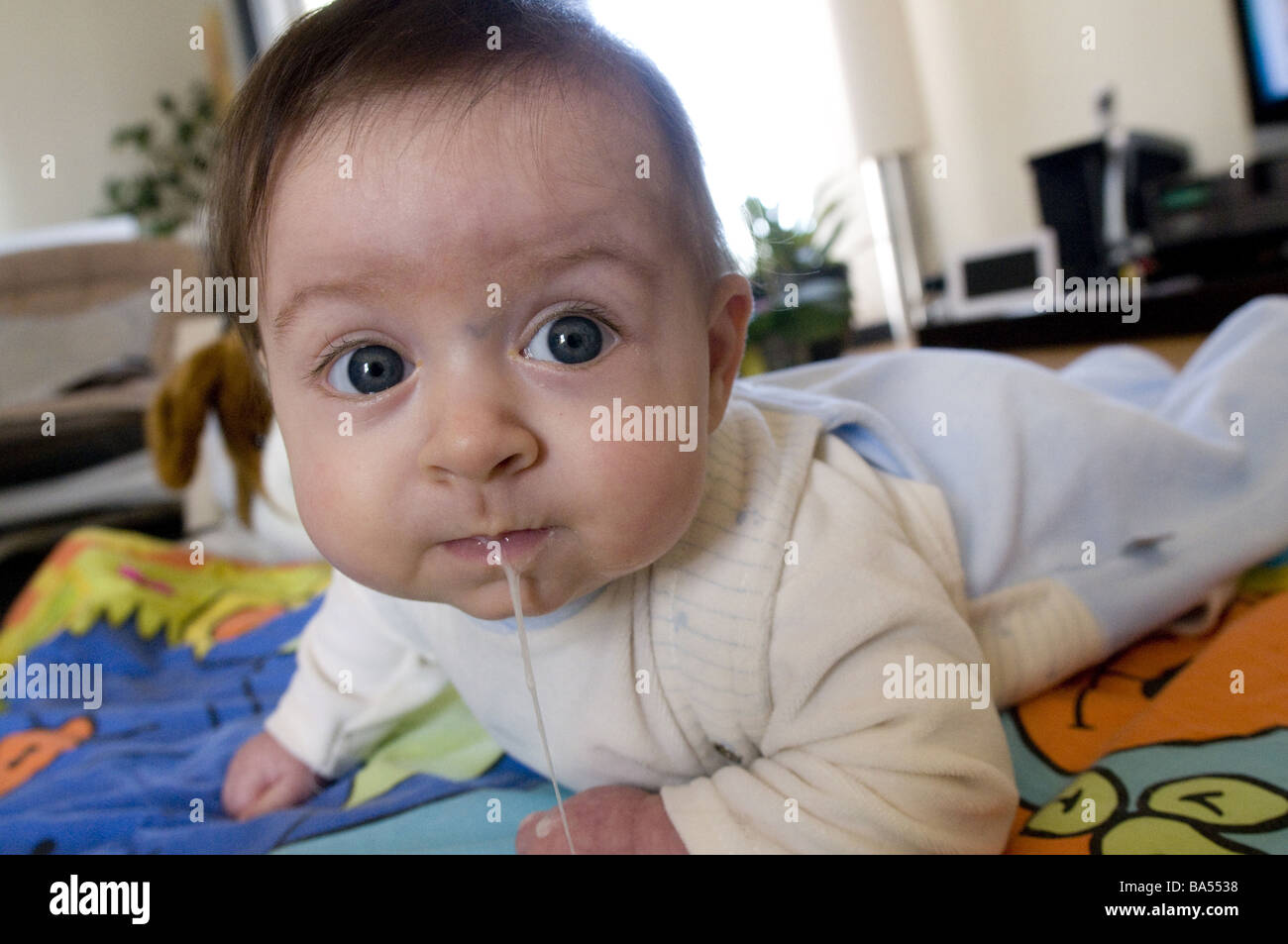 Drooling Banque D Image Et Photos Alamy