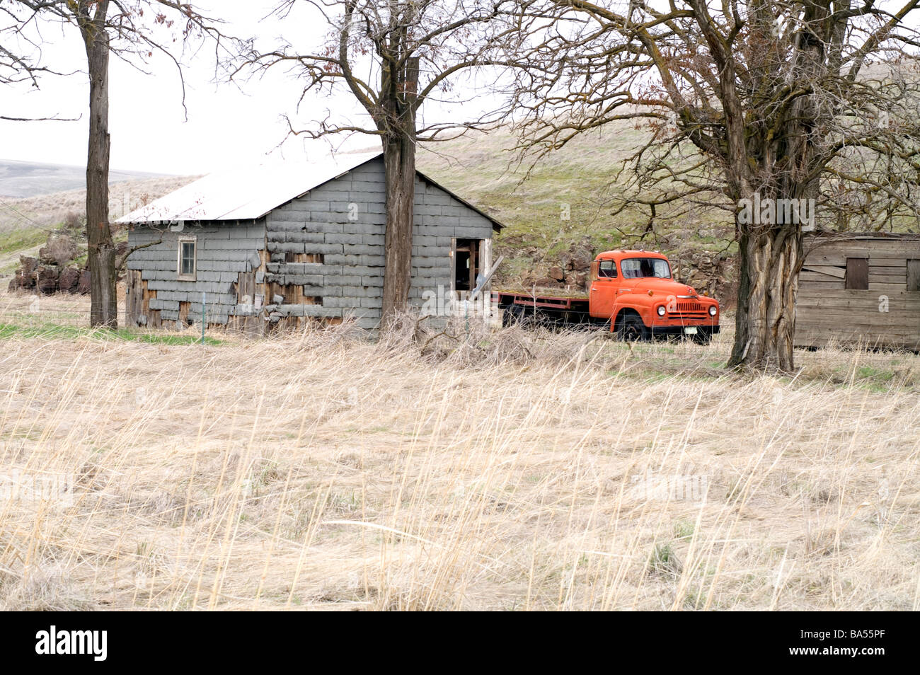 International Harvester chariot sur ferme abandonnée Banque D'Images