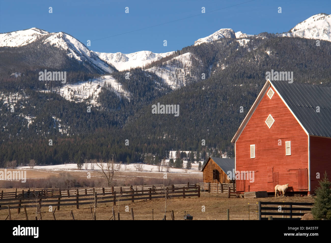 Grange rouge dans le champ sur la ferme ou un ranch à la base de la montagnes Wallowa Banque D'Images