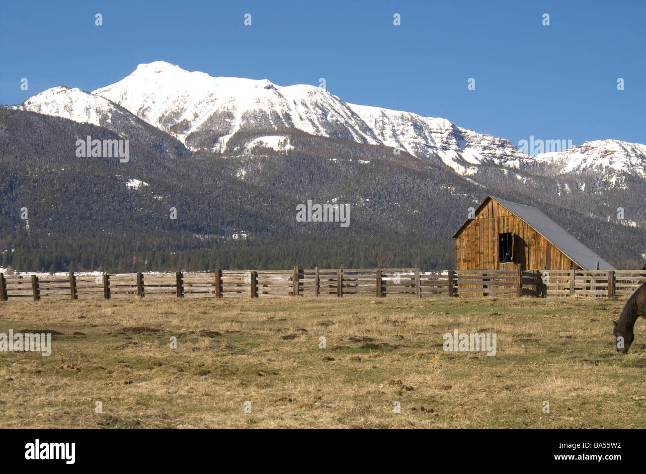 Grange en bois sur terrain ferme ou ranch à la base de la montagnes Wallowa Banque D'Images