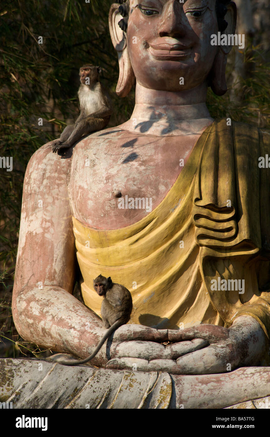 Une statue de Bouddha de Wat Khao Tham Talu avec une longue queue Macaca fascicularis macaque Banque D'Images