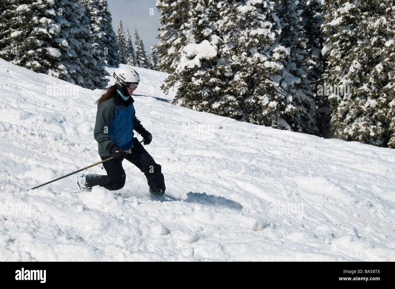 Attaque skieur de télémark, poudre haché Aspen Highlands Ski Area, Aspen, Colorado. Banque D'Images