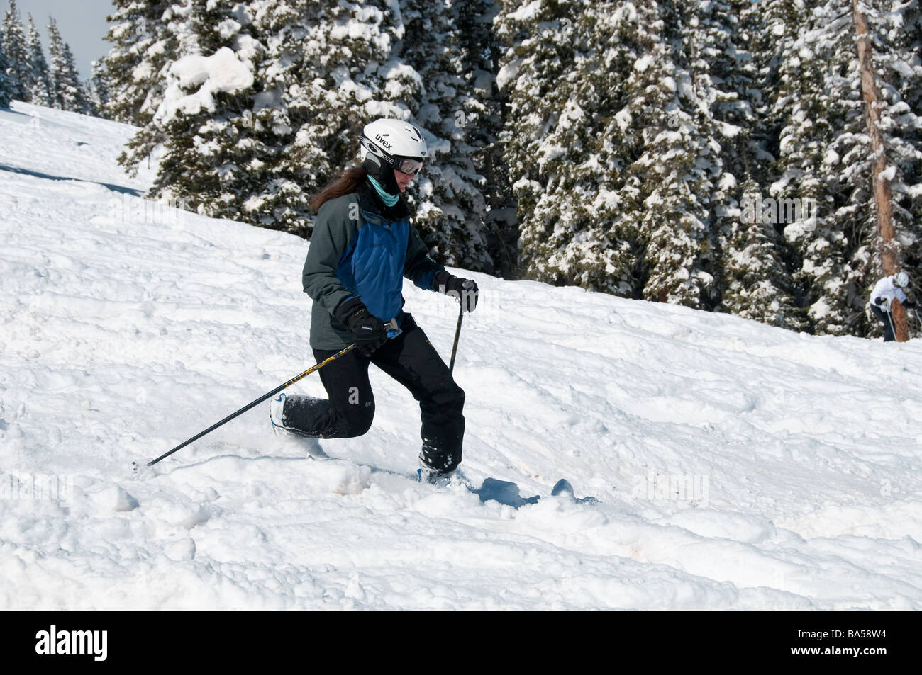 Attaque skieur de télémark, poudre haché Aspen Highlands Ski Area, Aspen, Colorado. Banque D'Images