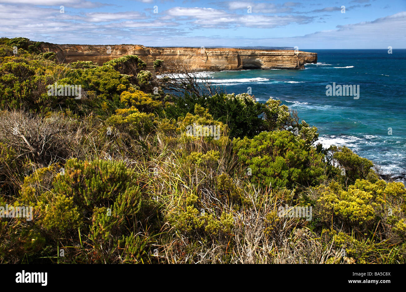 La végétation et les falaises côtières, Great Ocean Road Victoria Australie Banque D'Images