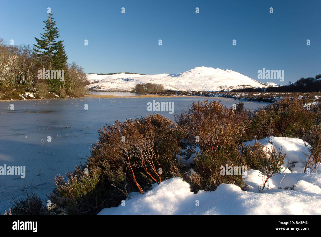 Glendoebeg Loch Tarff Fort Augustus Écosse Banque D'Images