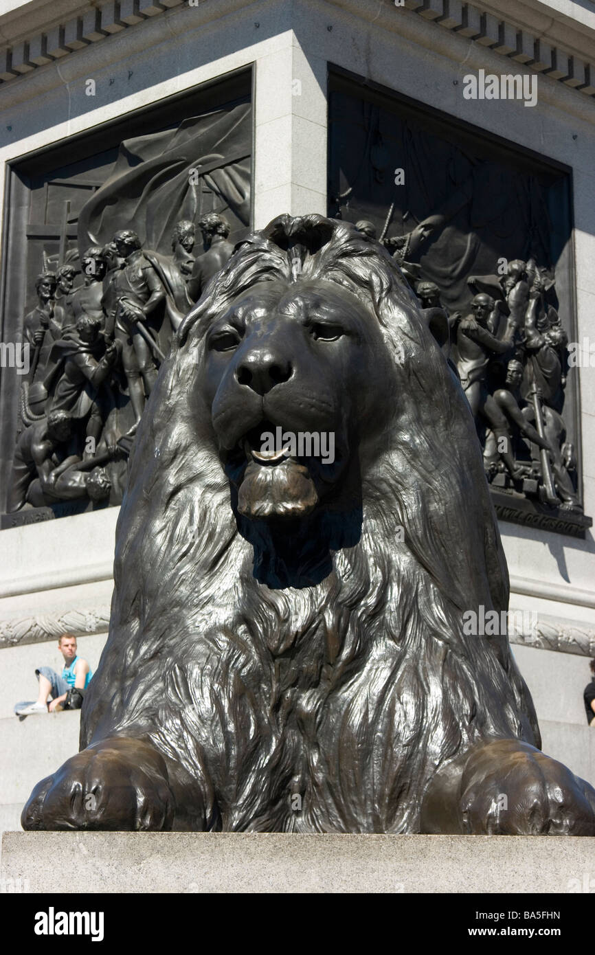 Statue de lion (un des quatre) par à Landseer pied de la Colonne Nelson, Trafalgar Square, Londres, avec un homme assis touristique on ledge Banque D'Images