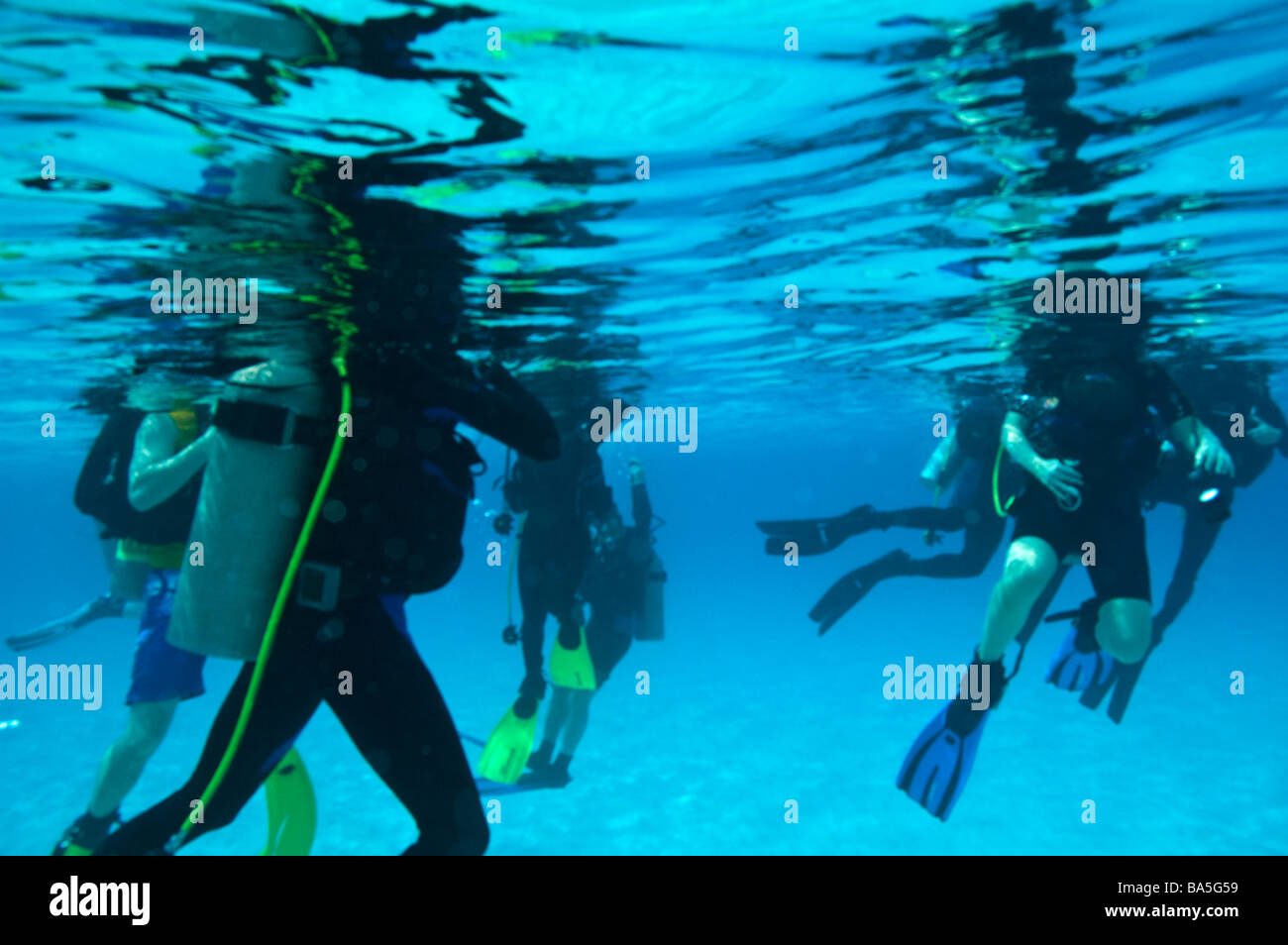 Les plongeurs flottant dans l'eau des Caraïbes bleu clair près de Bonaire Banque D'Images