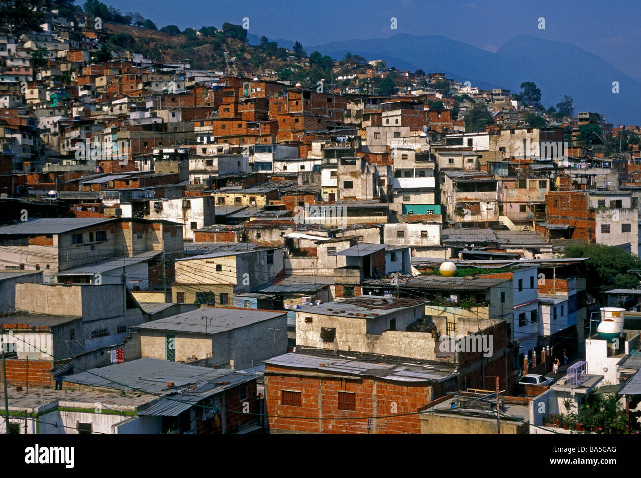 Bidonville, slum, construite le long de la colline, eucalyptus, eucalyptus Barrio Barrio, ville de Caracas, Caracas, capital district, le Venezuela, l'Amérique du Sud Banque D'Images
