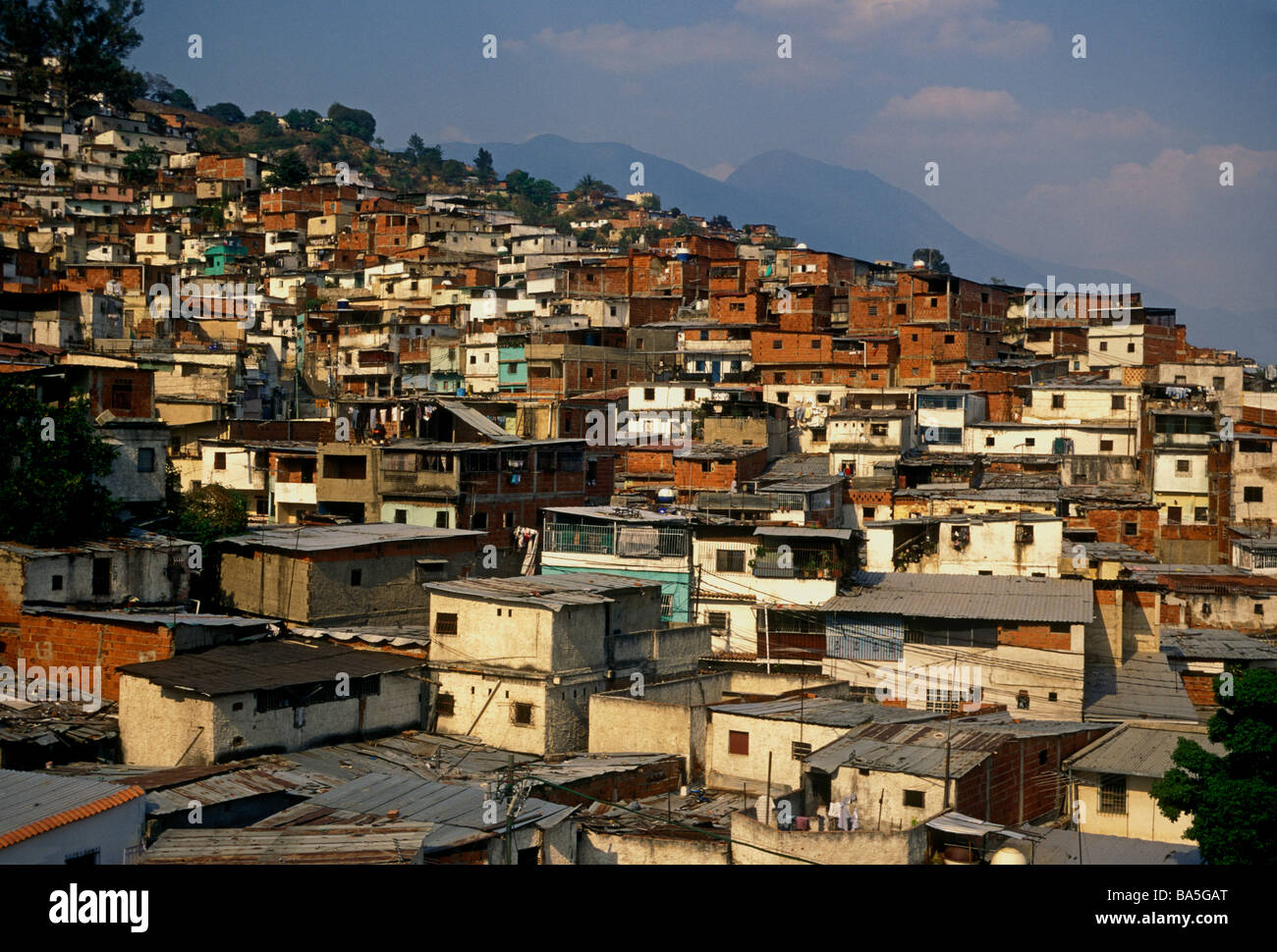 Bidonville, slum, construite le long de la colline, eucalyptus, eucalyptus Barrio Barrio, ville de Caracas, Caracas, capital district, le Venezuela, l'Amérique du Sud Banque D'Images