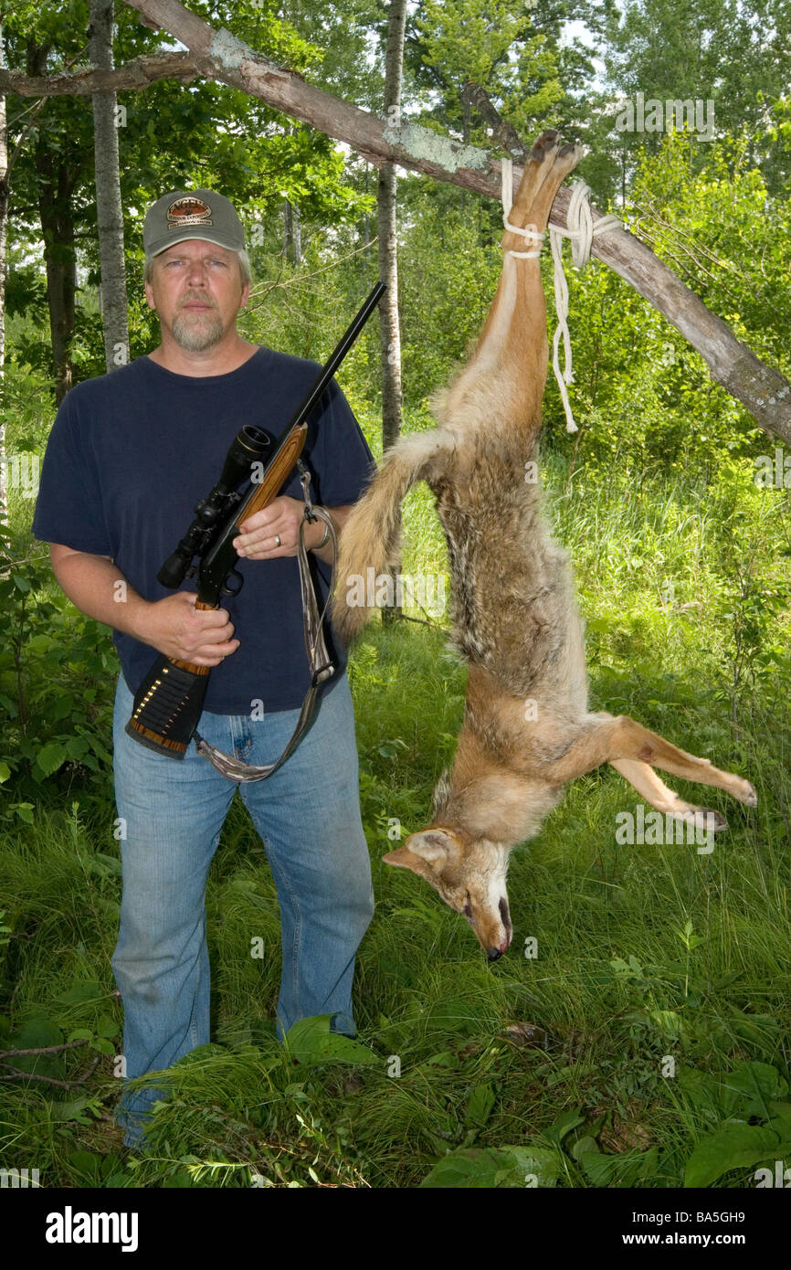 Hunter pose avec coyote récoltés Banque D'Images