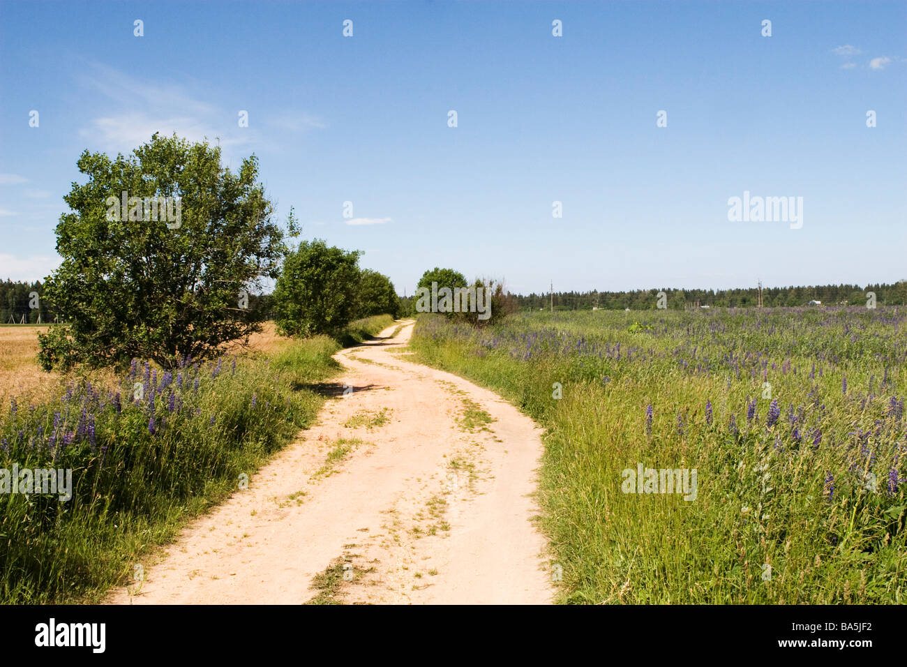 Panneaux route de campagne à travers champs en journée ensoleillée. Banque D'Images