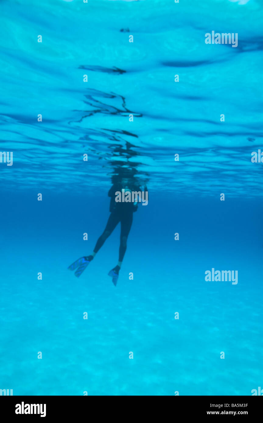Plongeur autonome unique bleu flottant dans l'eau des Caraïbes près de Bonaire Banque D'Images