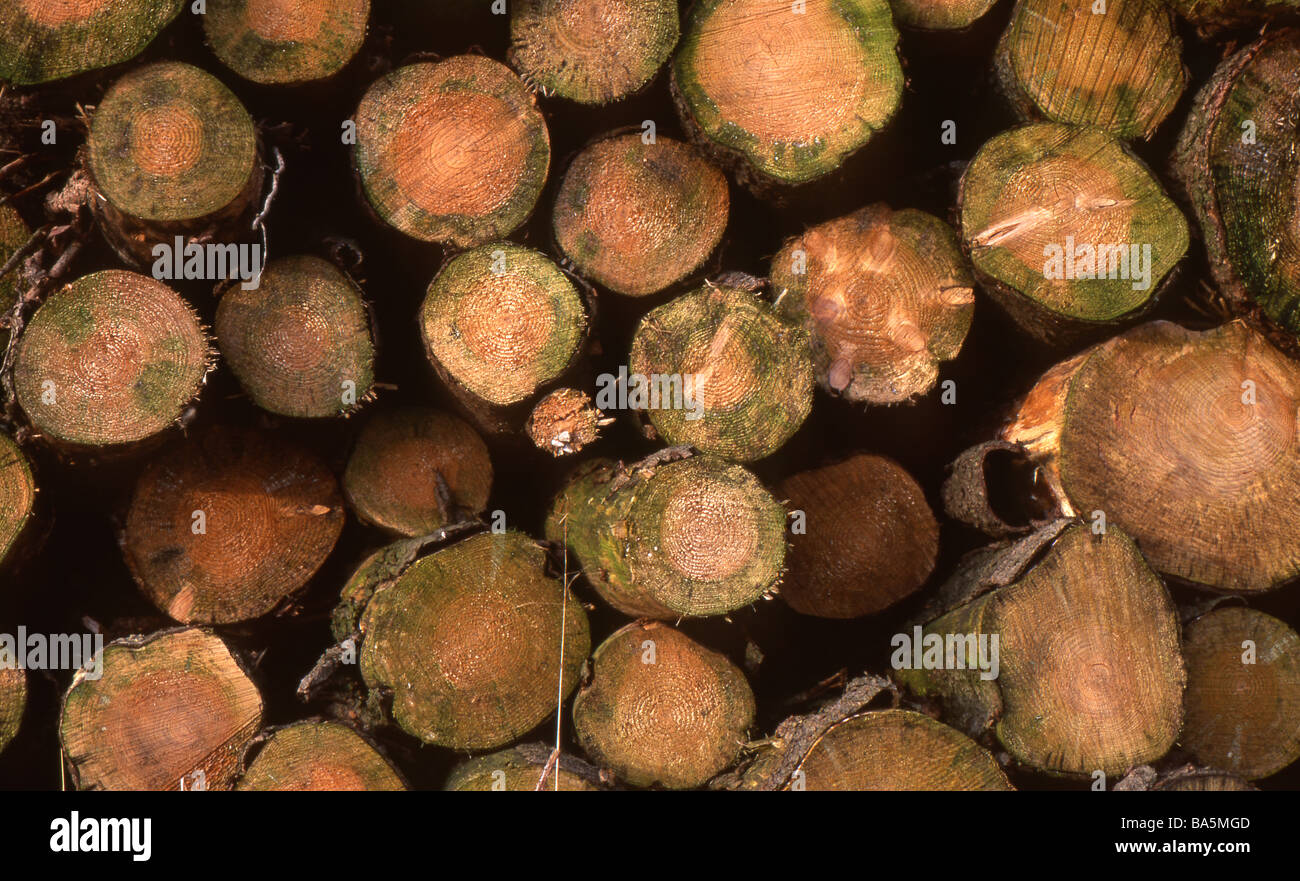 une pile de journaux Banque D'Images