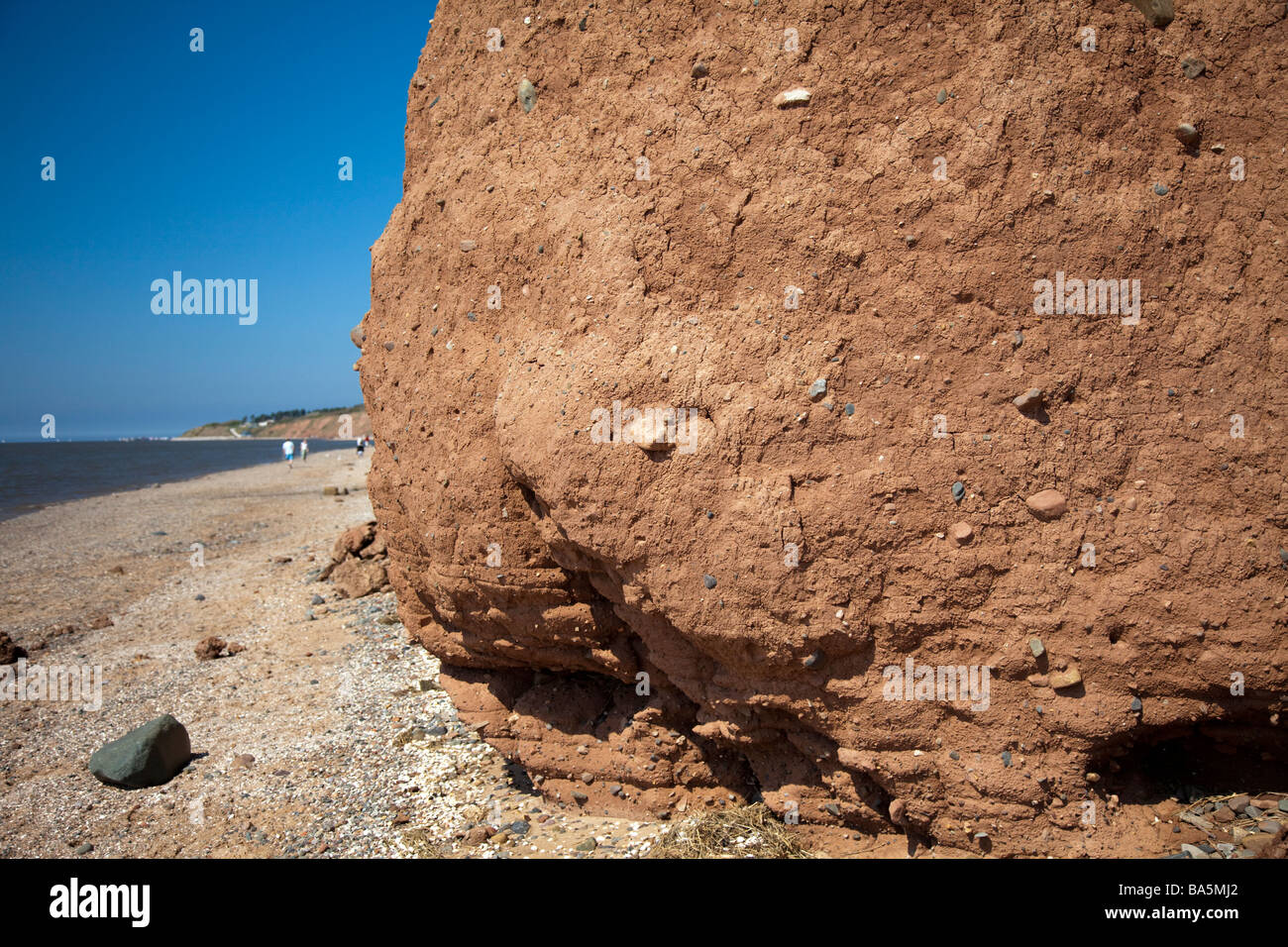 Les falaises du littoral et à la plage de Thurstaston sur le Wirral avec blue ciel sans nuages au-dessus, Wirral, Merseyside, Royaume-Uni Banque D'Images