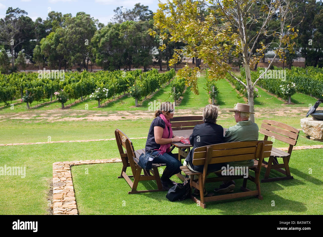 Vignoble vins Laurance à Wilyabrup, dans la célèbre région viticole de Margaret River, Australie-Occidentale, Australie Banque D'Images