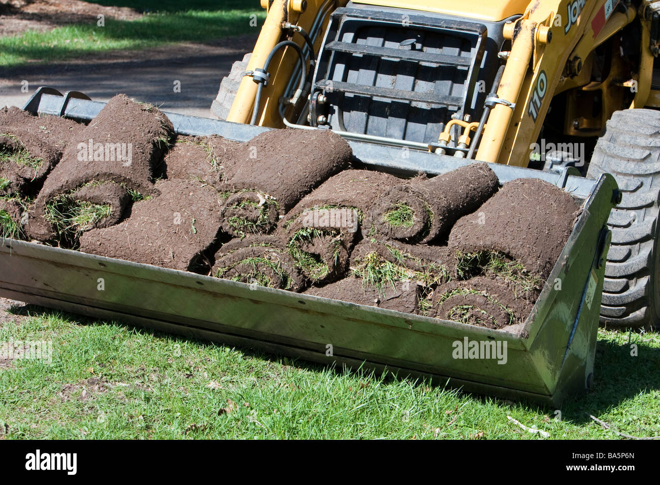 Un tracteur jaune avec une benne de chargement de gazon fraîchement coupé. Banque D'Images