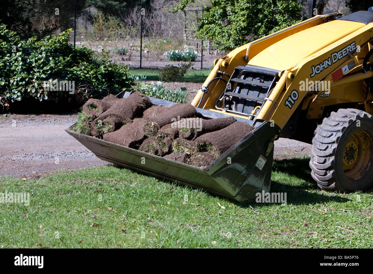Un tracteur jaune avec une benne de chargement de gazon fraîchement coupé. Banque D'Images