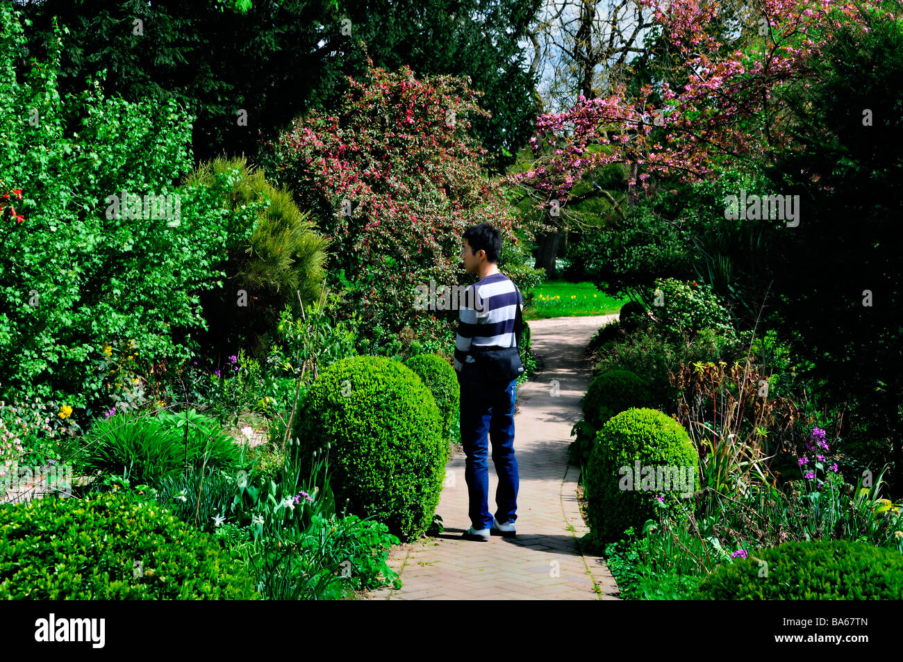 Paris France, jeune homme, Promenading Alone, dans Urban Park, Garden Pathway Springtime, jardin de bagatelle 'bois de Boulogne', printemps parisien Banque D'Images