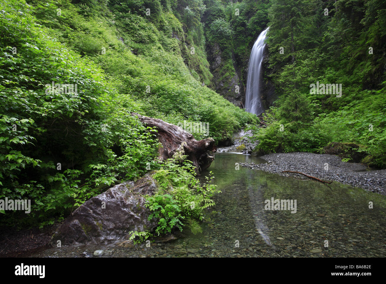 USA Alaska Islande Baranof La For t Nationale Tongass Cascade Canyon De USA Alaska Islande Baranof La For t Nationale Tongass Cascade Canyon De
