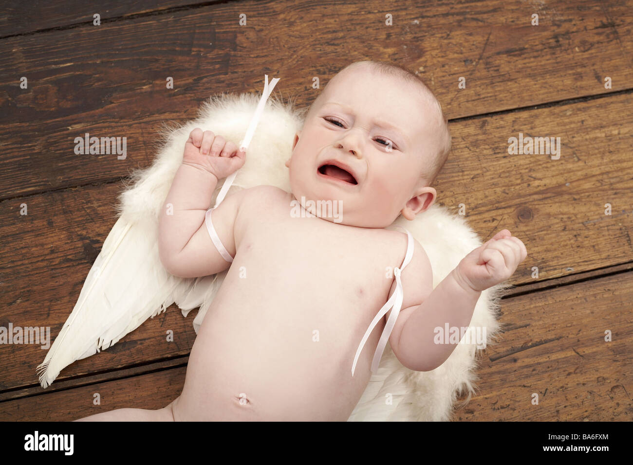 Bébé ange nu est-ailes-de-chaussée détail cris series personnes enfant Bébé  Garçon 8 mois ailes hurle petits anges de naturel Photo Stock - Alamy