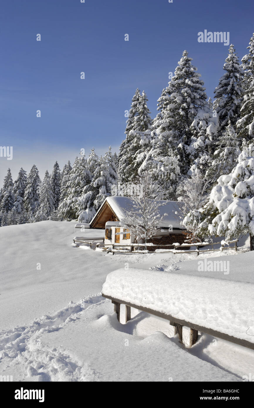 Paysage d'hiver chalet des bordures de forêts arbres paysage neige pistes bois chalet montagne hivers idylliquement isolement isolée Banque D'Images