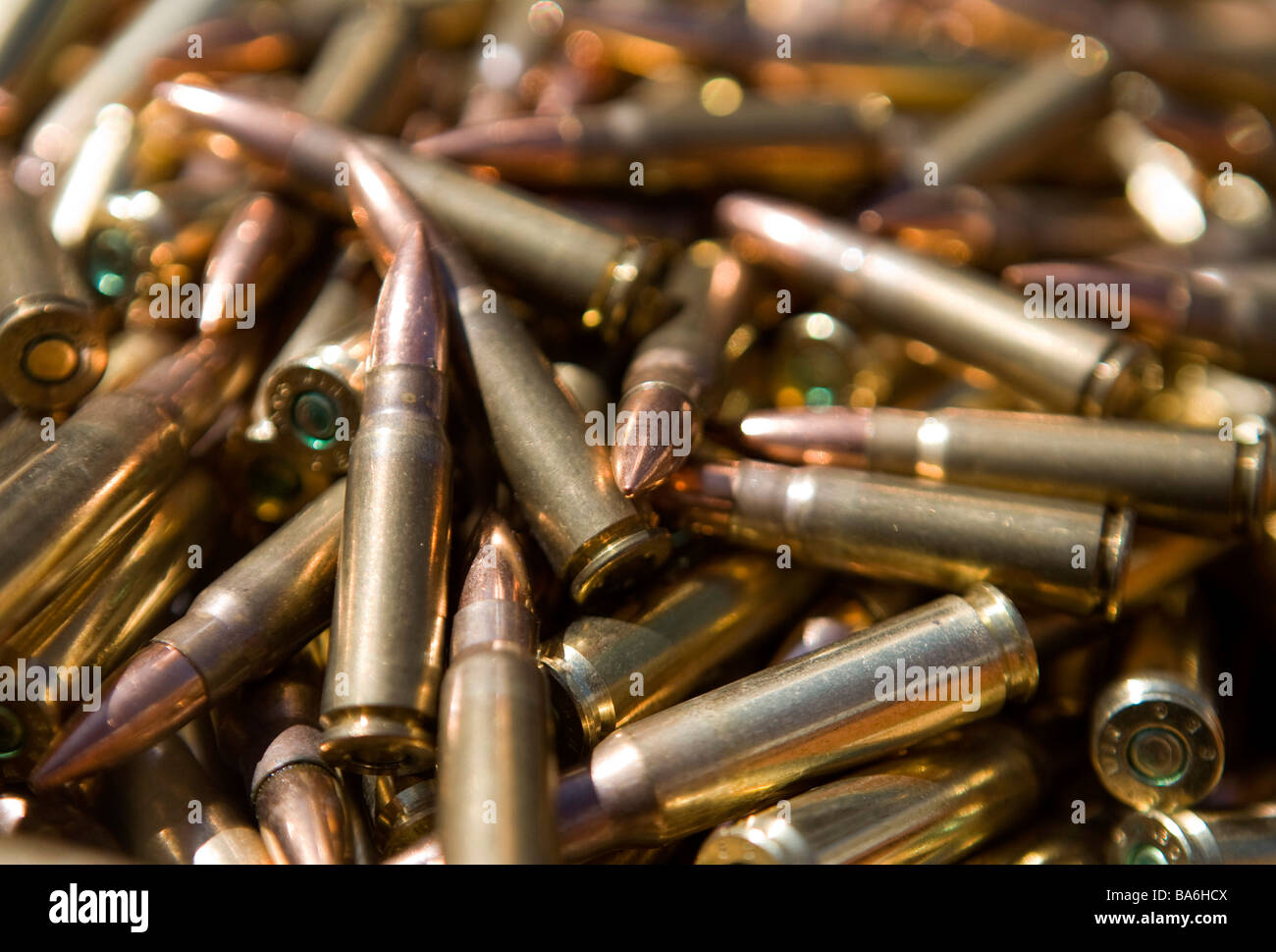 12 avril 2009 Frederick Maryland petites munitions munitions calibre une pénurie a frappé les États-Unis Banque D'Images