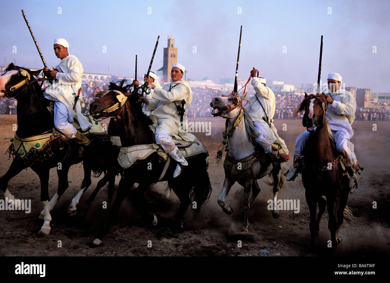 Maroc, El Jadida, Fantasia pour Moulay Abdallah Moussem Banque D'Images