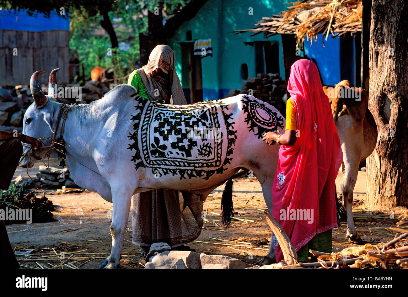 L'Inde, Rajasthan, Tonk woman painting, une vache de henné pour le festival Dipawali Banque D'Images