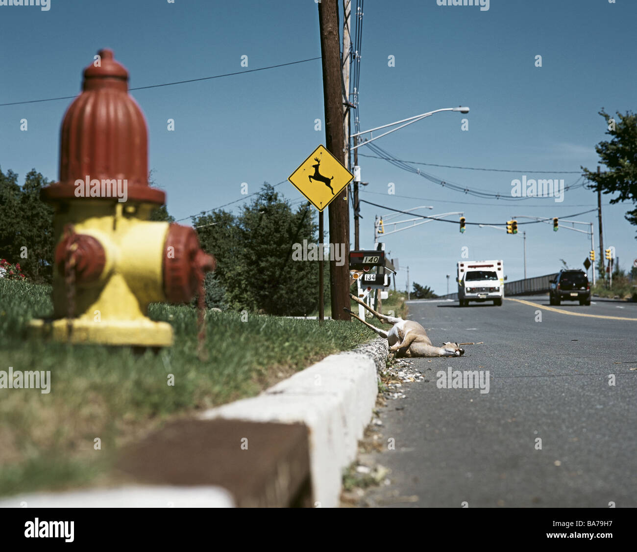Placer-signe passe jeu deer routière trafic morts USA-fontaine le jeu death dies traverse sur le trafic de la rue tar curbstone Banque D'Images