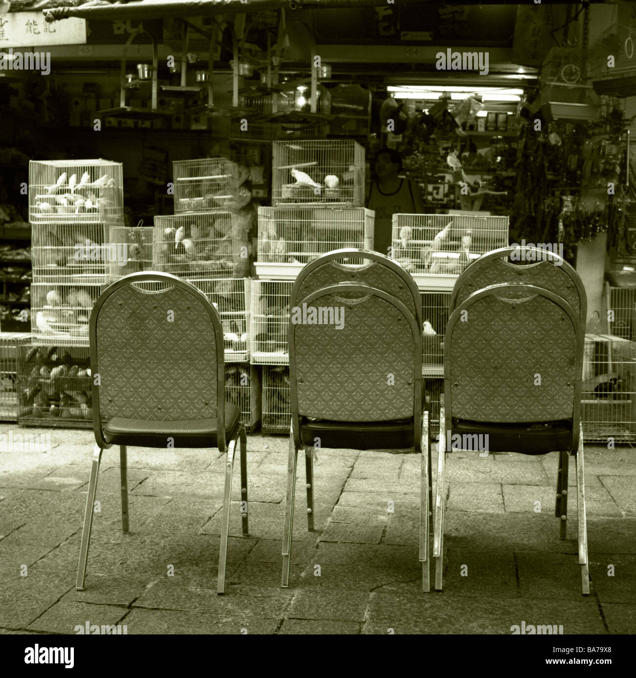 Chine Hong Kong Kowloon-oiseaux oiseaux cages marché vide chaises s/w Asie Asie de l'Est rue Marché aux oiseaux vente de district des cages Banque D'Images