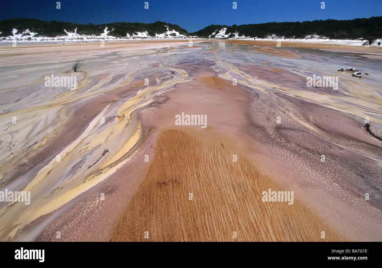 Le tanin de l'eau coloré se jette dans le lac Boomanjin, Fraser island, Grande Barrière de Corail, Australie Banque D'Images