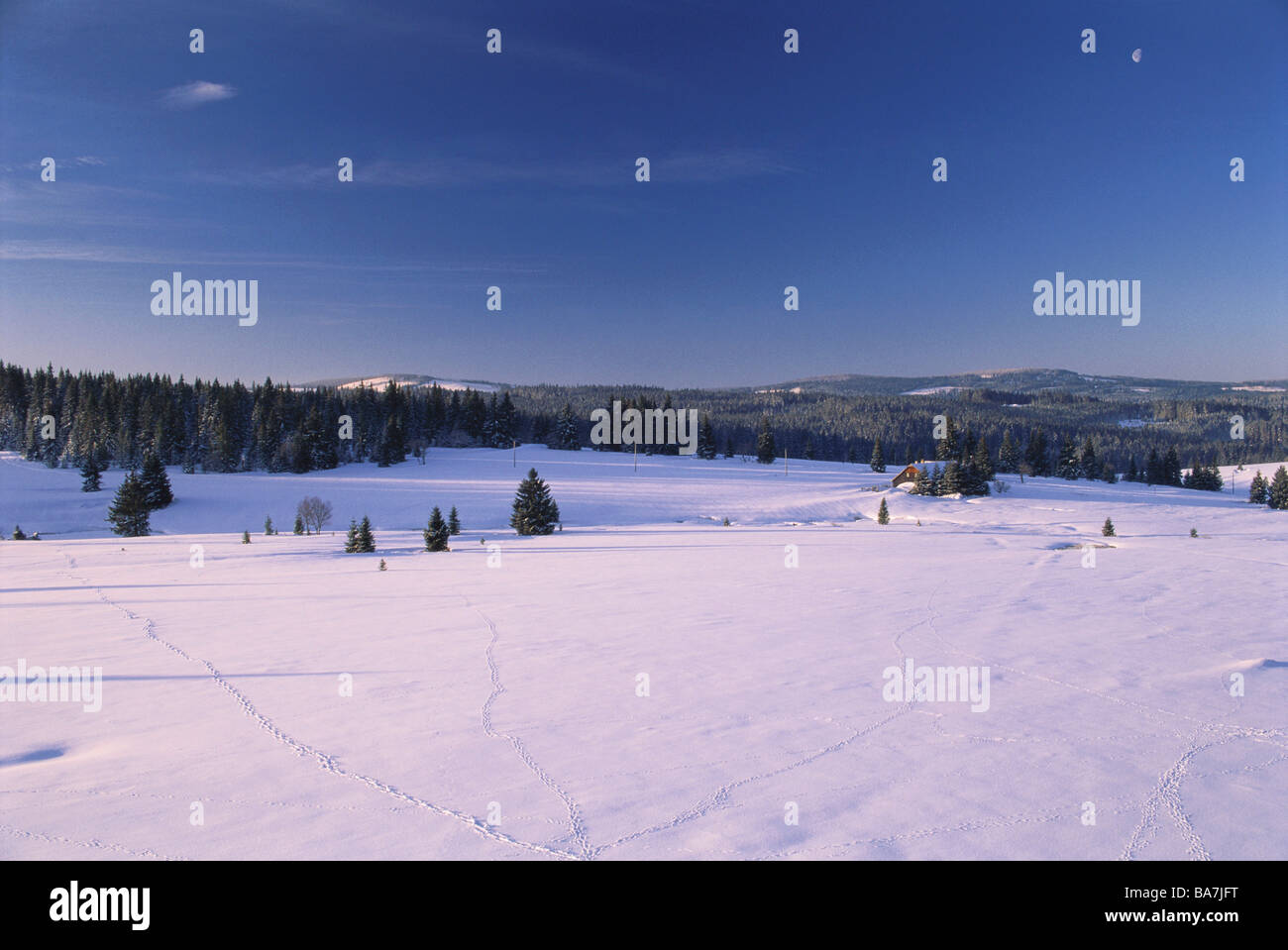 Paysage d'hiver sur le plateau, les maisons dans l'arrière-plan, Filipova Hut, Sumava, forêt de Bohême, République Tchèque Banque D'Images