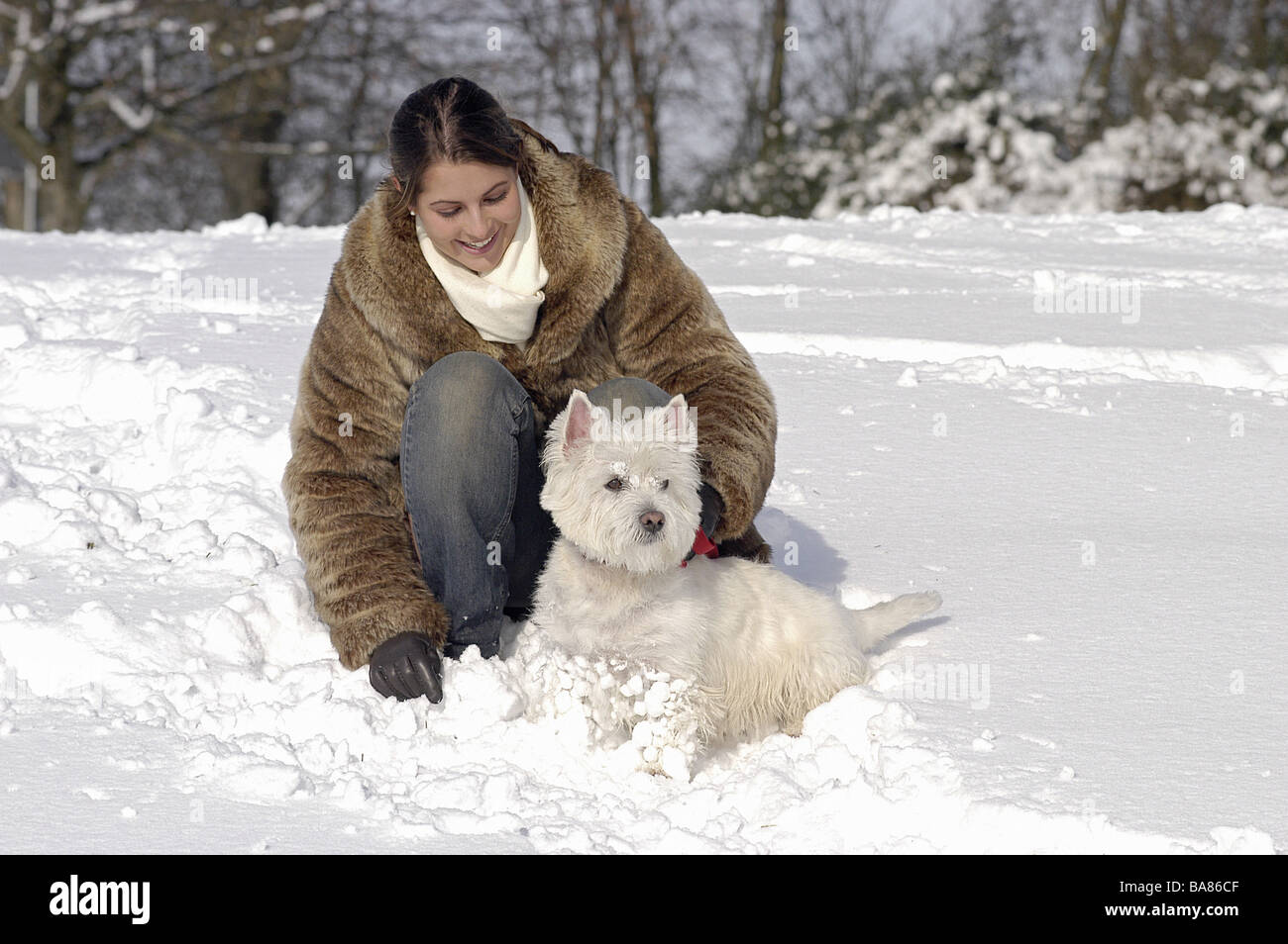 Femme avec Westhighland White Terrier dog in snow Banque D'Images