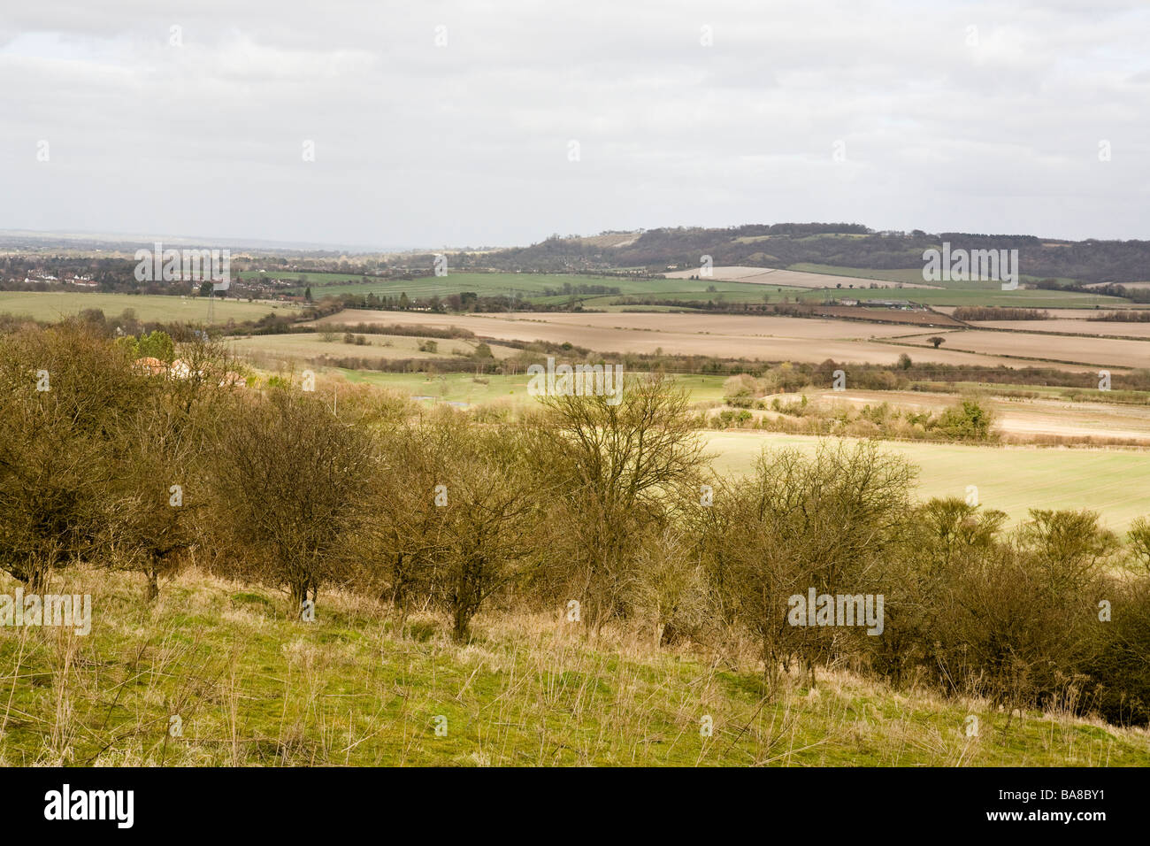 Vue de Whiteleaf traverser la vallée de Aylesbury de Lodge Hill Banque D'Images
