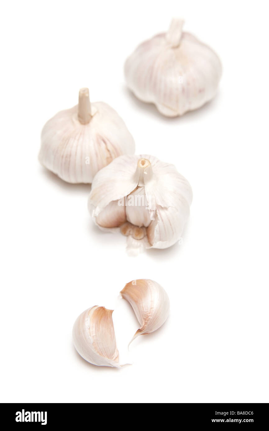 L'ail isolated on a white background studio Banque D'Images