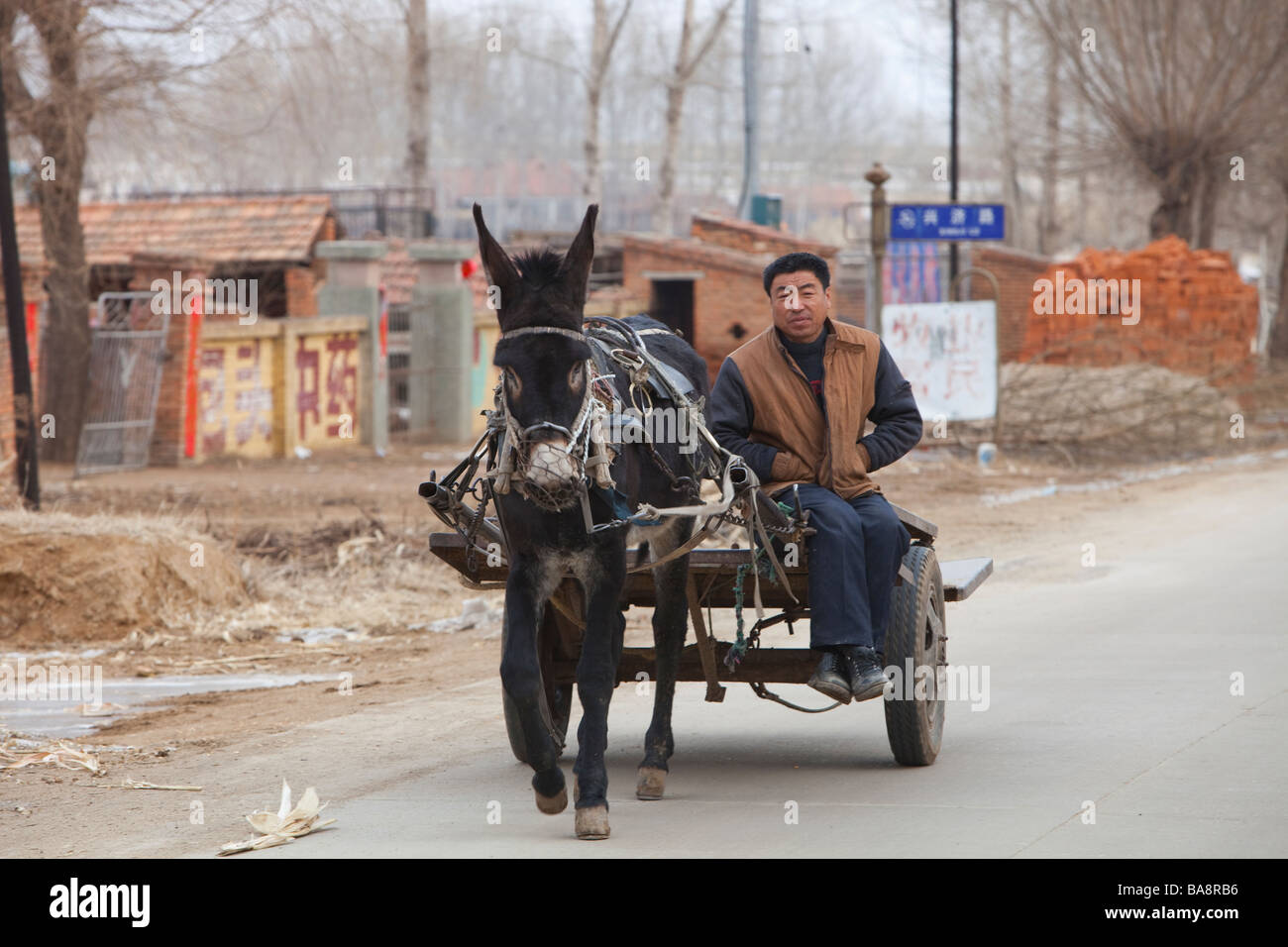 Un paysan chinois sur un âne dans la province de Heilongjiang, dans le Nord de la Chine Banque D'Images