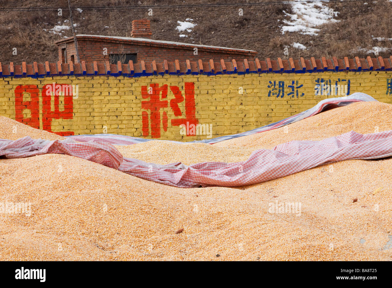 Magasin de maïs dans la province de Heilongjiang, Chine du Nord Banque D'Images