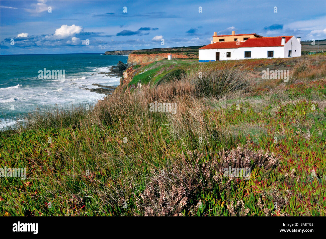 Vue côtière et maisons en bois au petit port de Zambujeira do Mar Banque D'Images