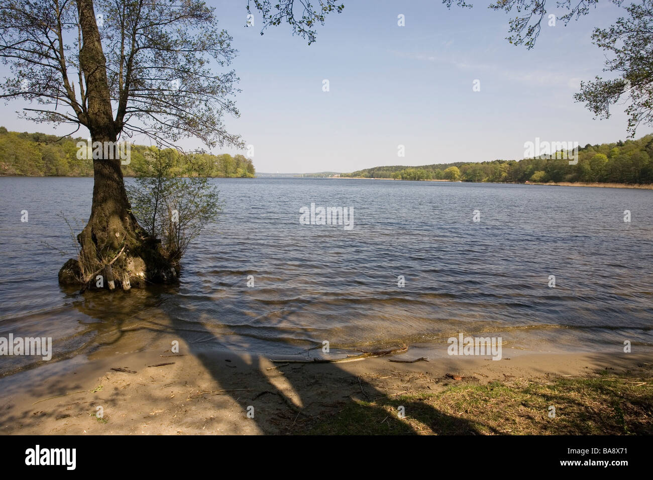 Havel, d'Ufer Promenade, Wannsee, près de Berlin, Allemagne Banque D'Images