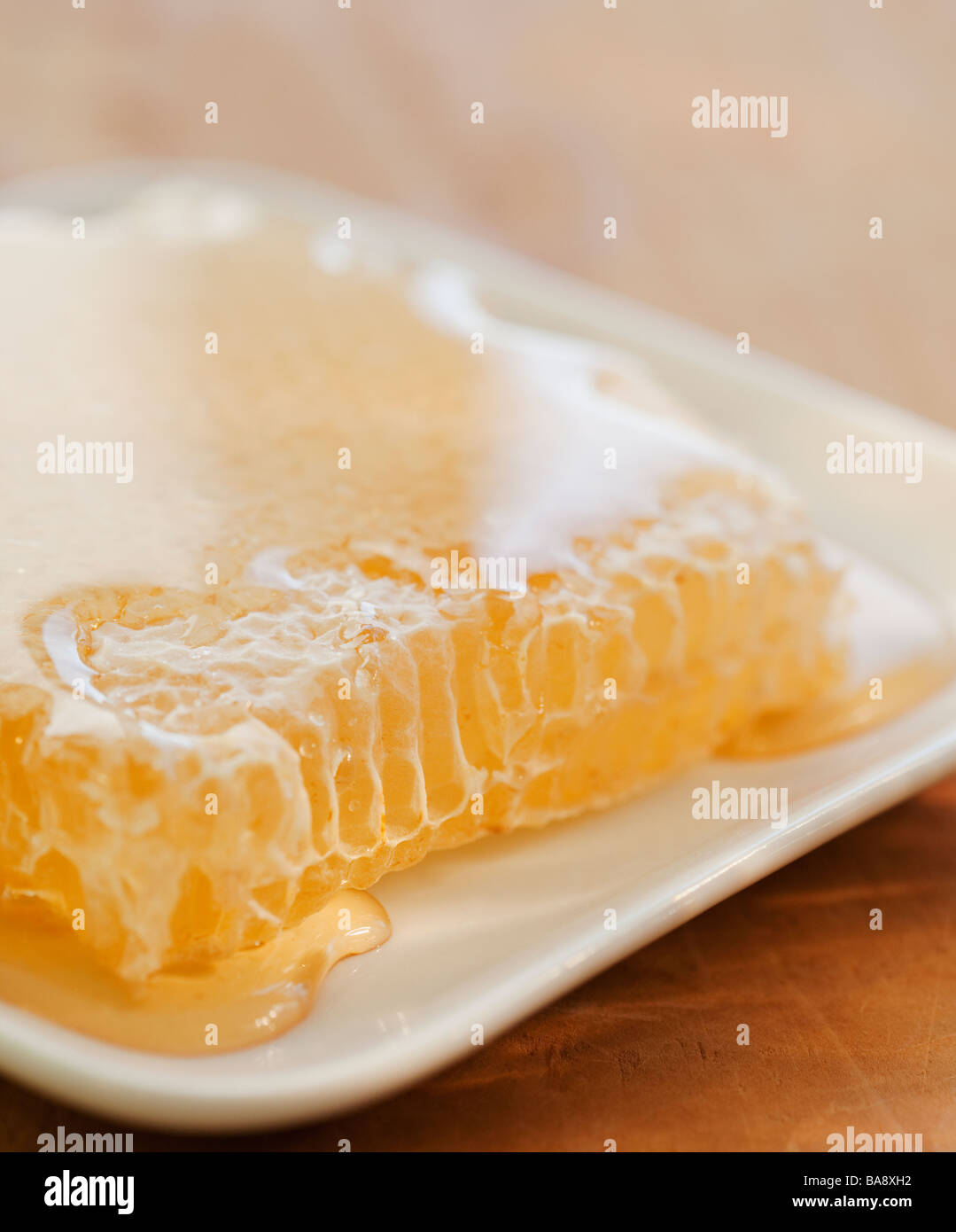 Close up of fresh honeycomb Banque D'Images