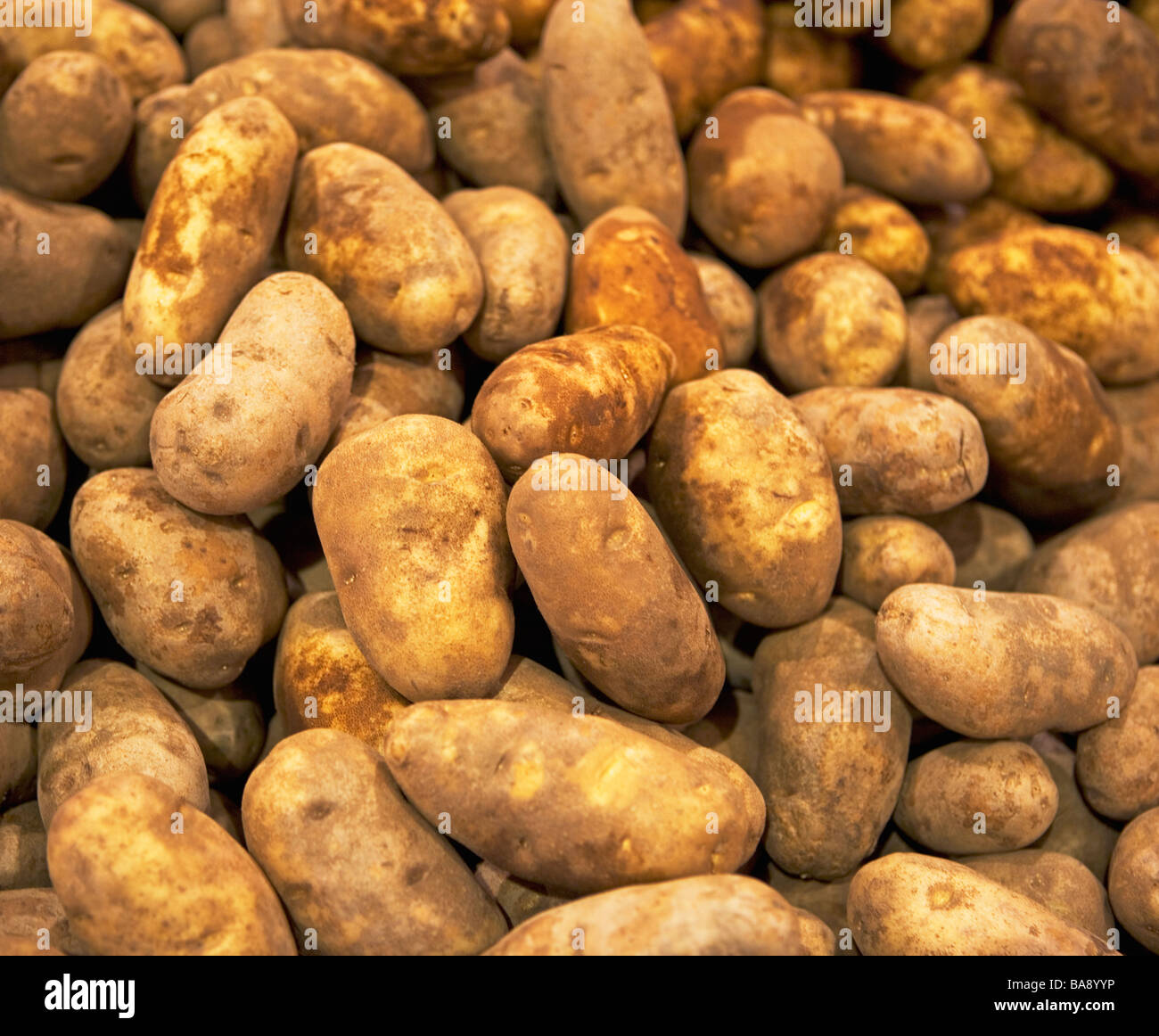 Pommes de terre Idaho à un stand de fruits Banque D'Images