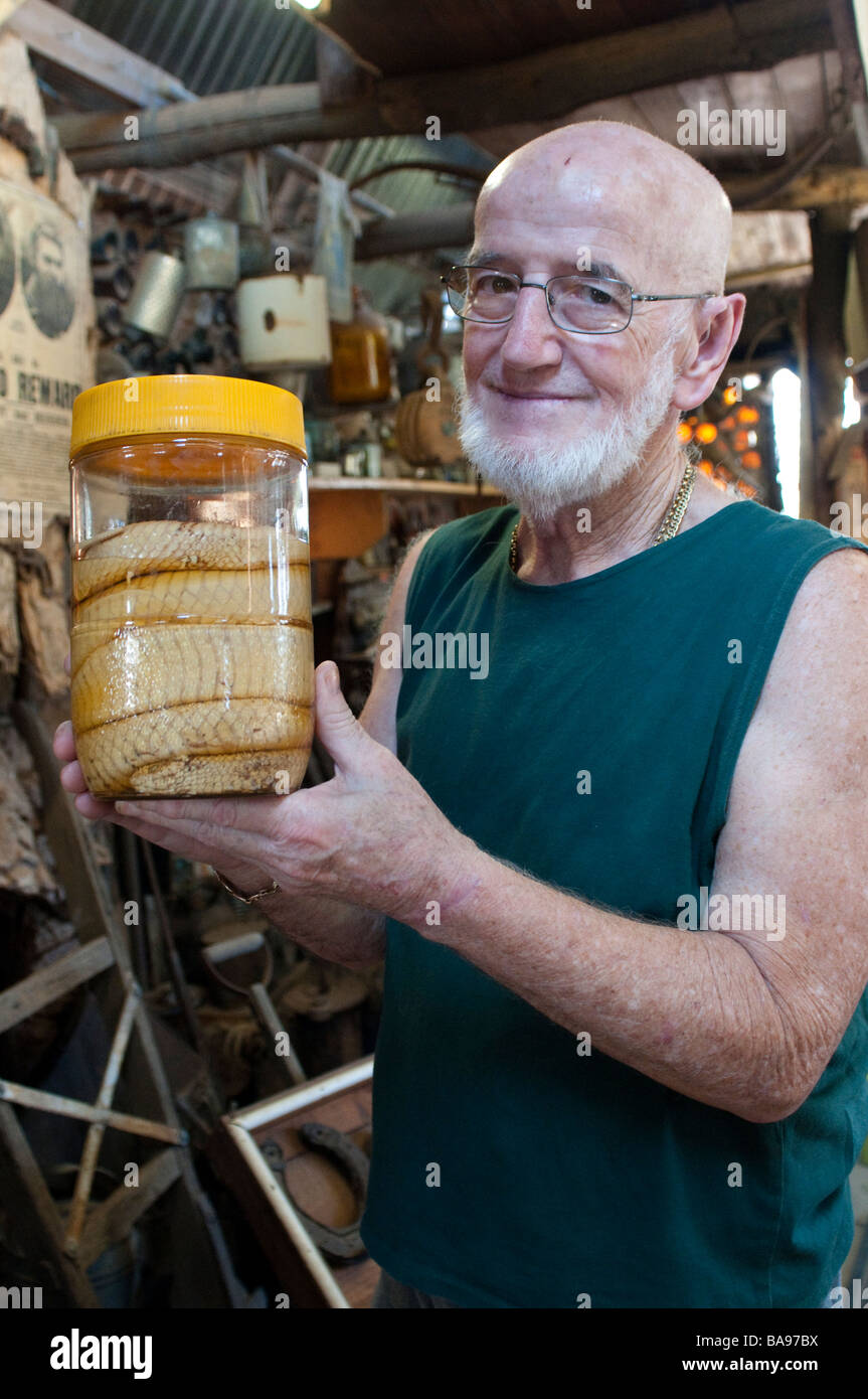 Arthur le propriétaire montrant un roi serpent brun dans un bocal bouteille Chambre Lightning Ridge New South Wales Australie Banque D'Images