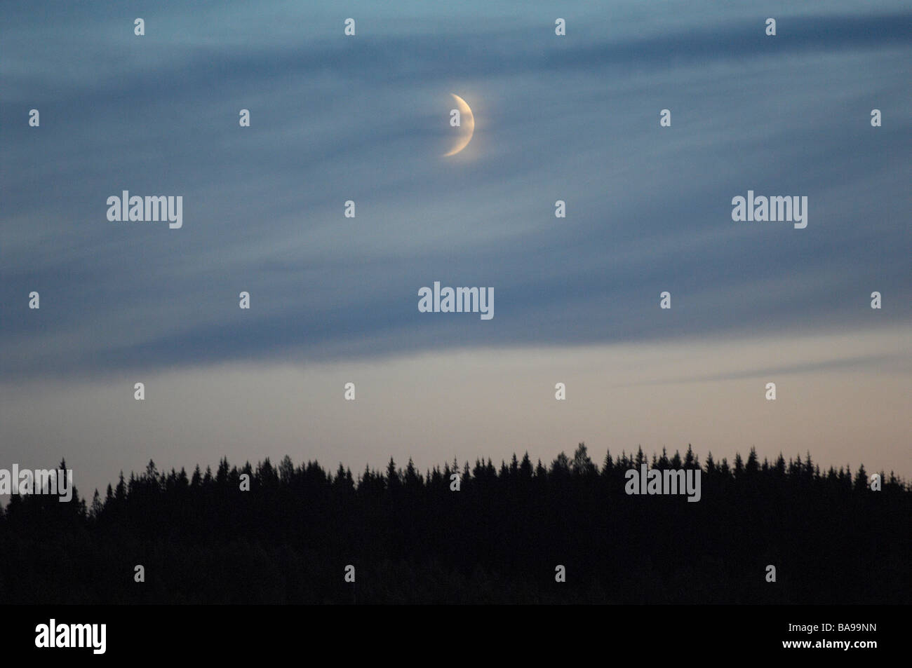 Une lune au-dessus d'une forêt, la Suède. Banque D'Images