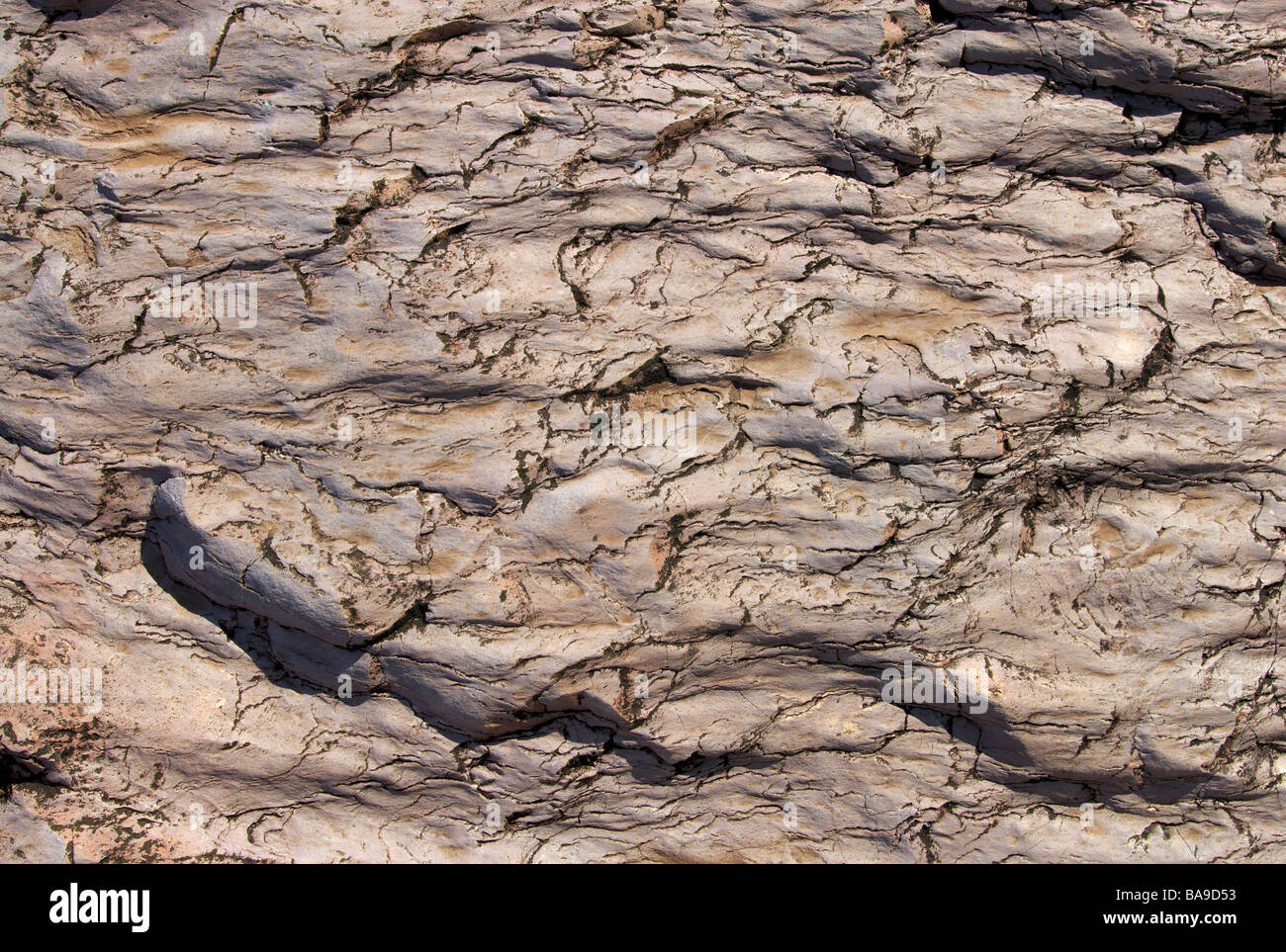 Samalema Gorge National Gonarezhou au Zimbabwe Mwenezi érosion de basalte de la rivière Banque D'Images