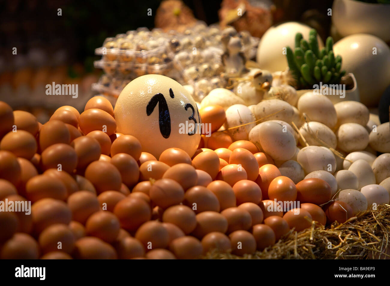 Oeufs frais MARCHÉ BARCELONE ESPAGNE STALL Banque D'Images