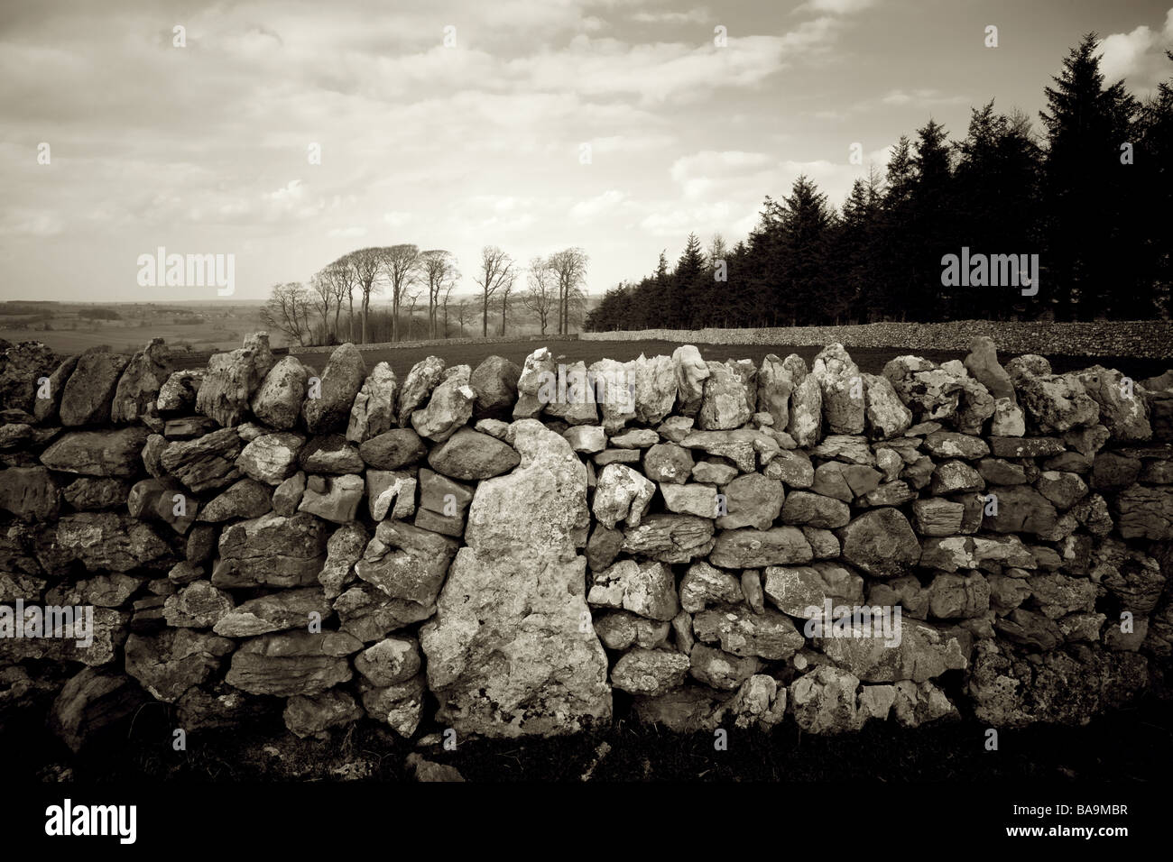Sepia shot de mur en pierre sèche dotée de grandes pierres imbriquées, fabriqué à partir de lapiez, Cumbria, Angleterre Banque D'Images