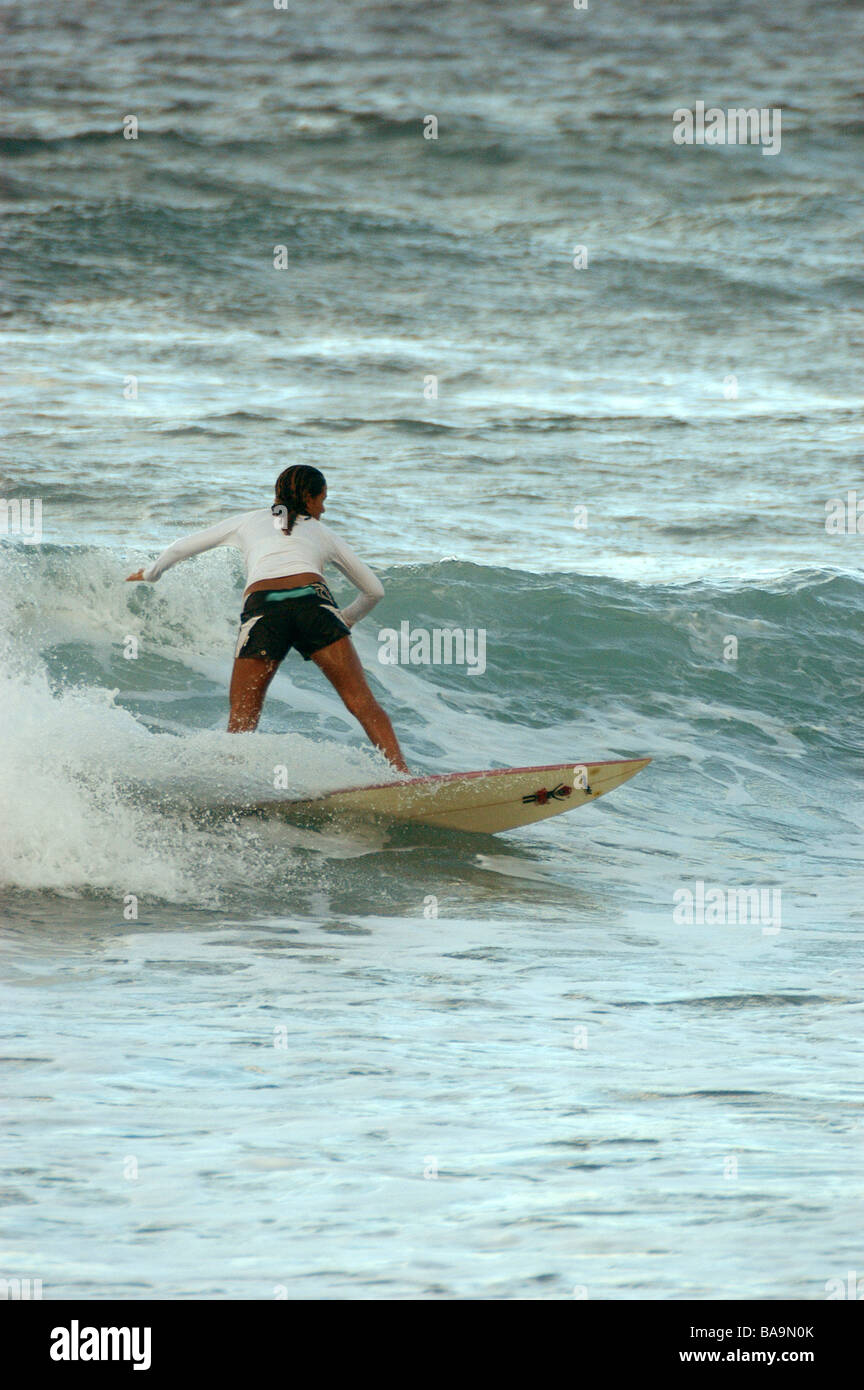 Manèges d'un surfer les vagues à plage de Bathsheba Barbade Banque D'Images